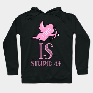 anti valentine cupid is stupid Hoodie